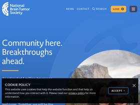 'braintumor.org' screenshot