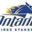ontariosiresstakes.com