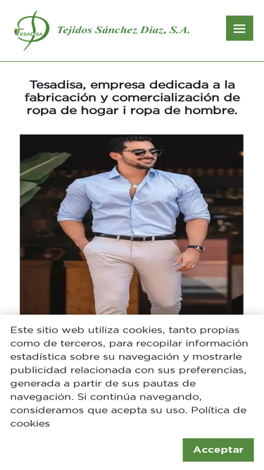 tesadisa.com