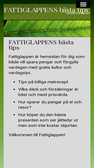 fattiglappen.com