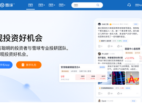 'xueqiu.com' screenshot