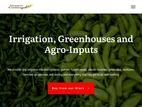 'veggieconcept.ng' screenshot