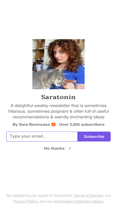 sarajbenincasa.substack.com