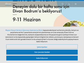 'divan.com.tr' screenshot