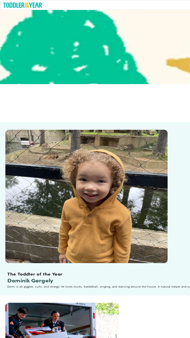 toddleroftheyear.org