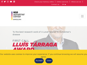 fundacioace.com