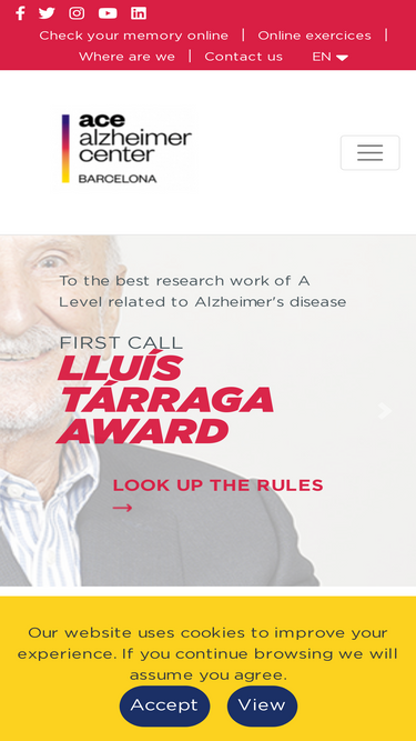 fundacioace.com