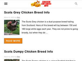 'chickenandchicksinfo.com' screenshot