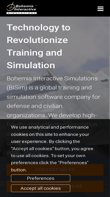bisimulations.com
