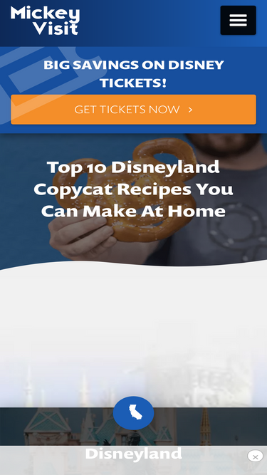 mickeyvisit.com