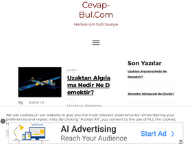 'cevap-bul.com' screenshot