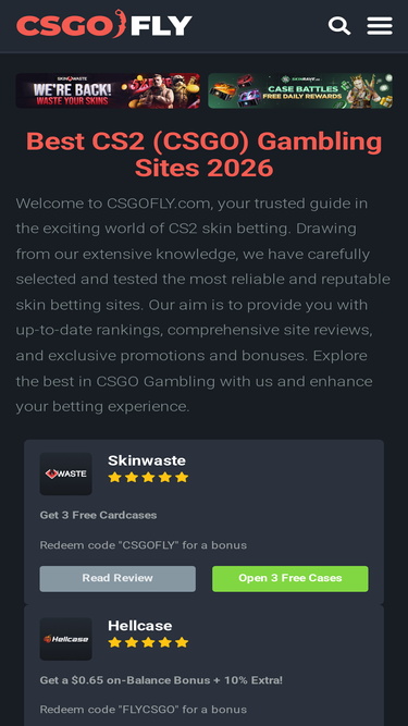 csgofly.com