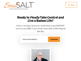 'soulsalt.com' screenshot
