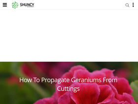 'shuncy.com' screenshot