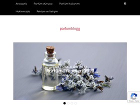'parfumblogu.com' screenshot