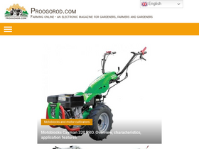 'proogorod.com' screenshot