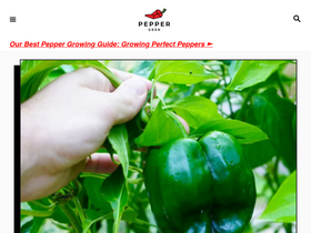 'peppergeek.com' screenshot