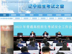 'lnzsks.com' screenshot