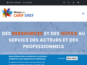 'intercariforef.org' screenshot