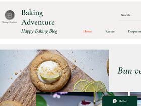 bakingadventure.net