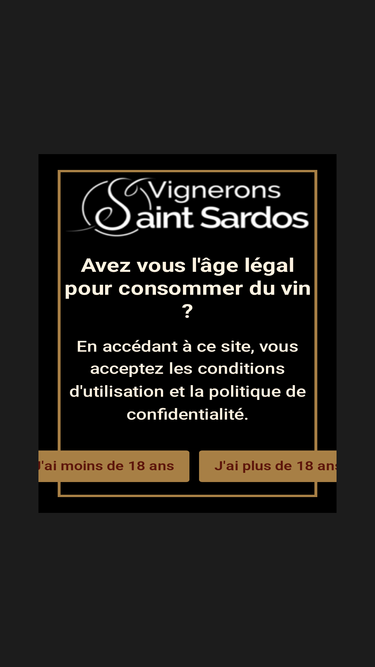cave-saint-sardos.com