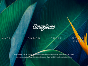 'amazonicorestaurant.com' screenshot