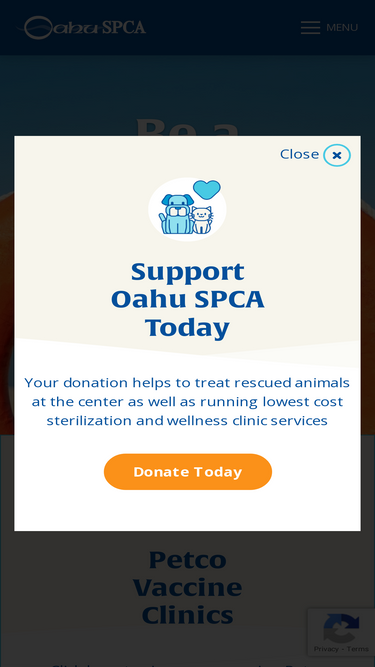 oahuspca.org
