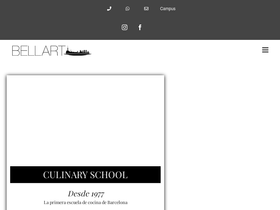 'escuelabellart.com' screenshot