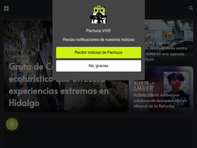 pachucavive.com