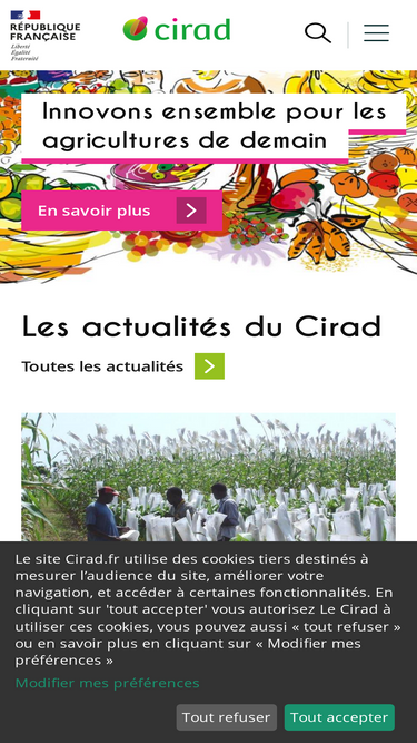 cirad.fr