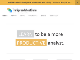 'thespreadsheetguru.com' screenshot