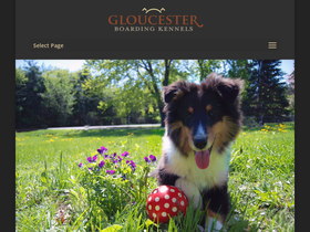 gloucesterkennels.com