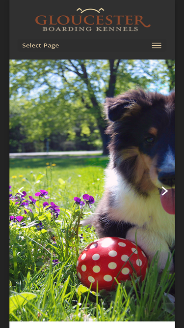 gloucesterkennels.com