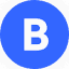 bizgo.io