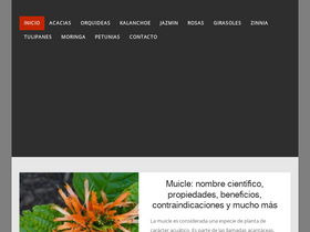 'hablemosdeflores.com' screenshot