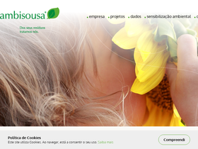 ambisousa.pt