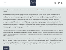 'solidstarts.com' screenshot