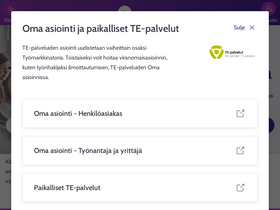 'tyomarkkinatori.fi' screenshot