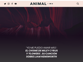 'animal.mx' screenshot