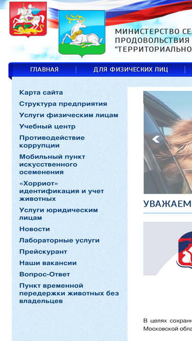 vetodincovo.ru