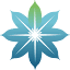 saliencehealth.com