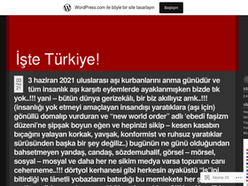 skyturkvngenc.wordpress.com