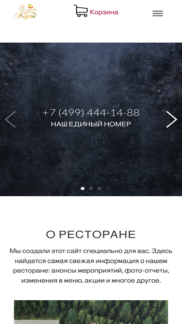 razdolie.net