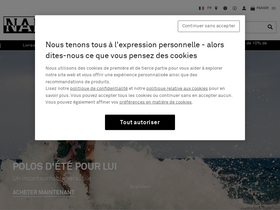 'napapijri.fr' screenshot