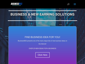 'businessnes.com' screenshot