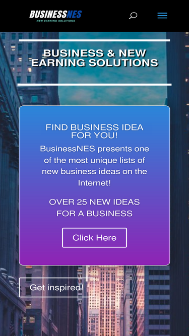 businessnes.com
