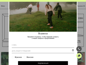 'peakstore.ru' screenshot