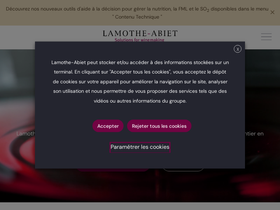 lamothe-abiet.com