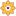 phcasc.ac.in