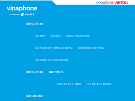 'dangky3g4g.com' screenshot